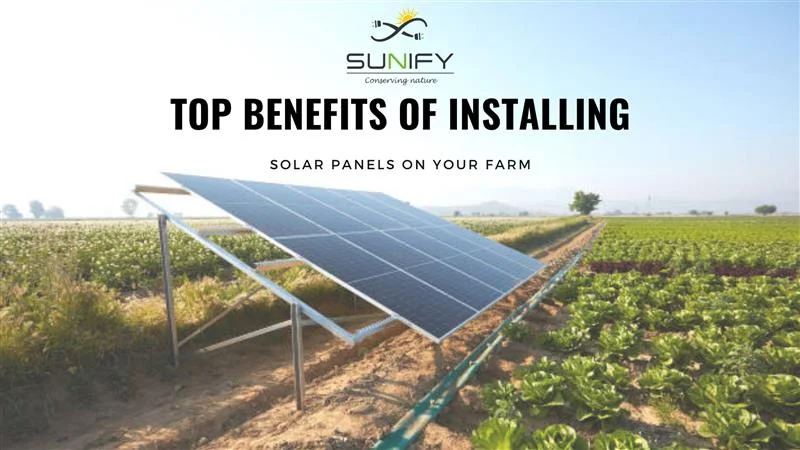 Top Benefits of Installing Solar Panels on Your Farm
